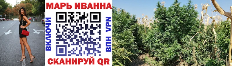 МАРИХУАНА планчик  Черняховск 